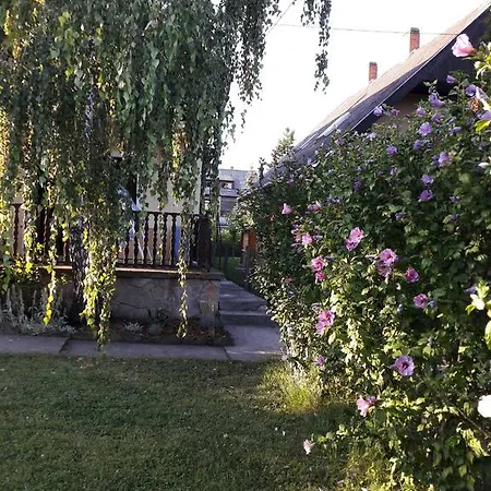 Toldi Apartman 3*
